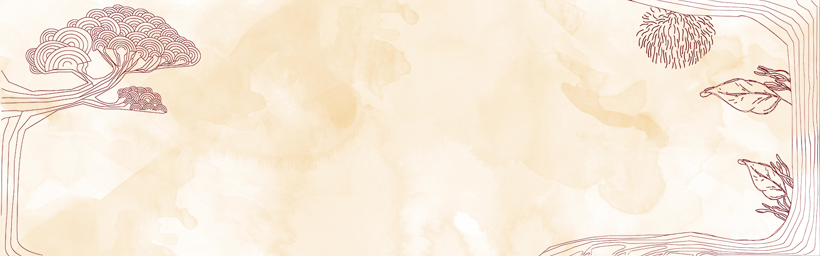 portada de mykora adaptogeno de ashwagandha para Reducir el estrés y la ansiedad de manera natural