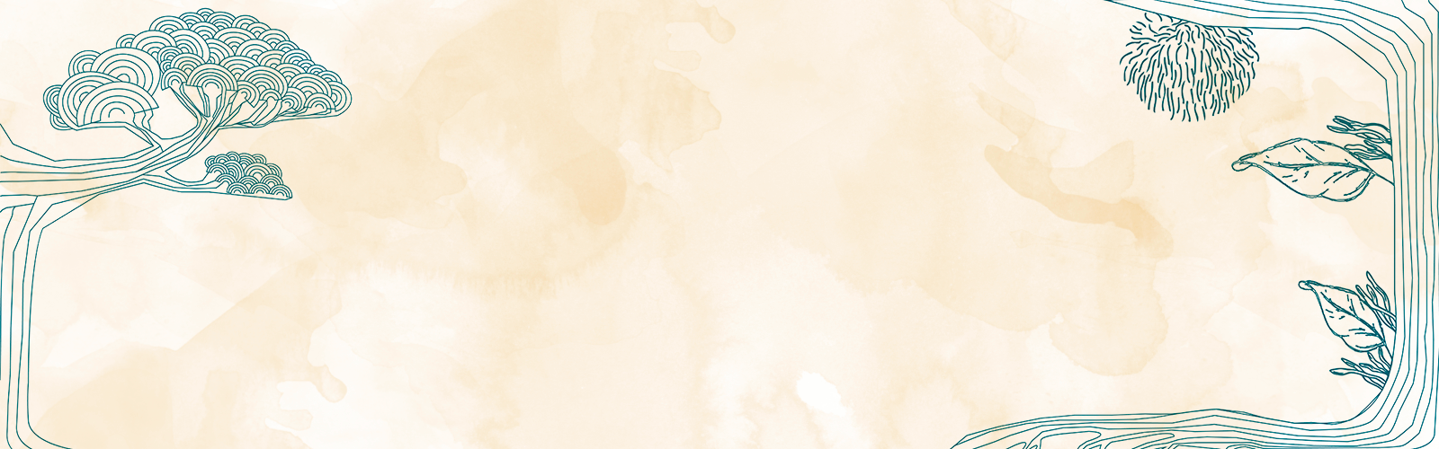 portada de mykora adaptogeno de cola de pavo para Cuidar la salud digestiva de forma natural