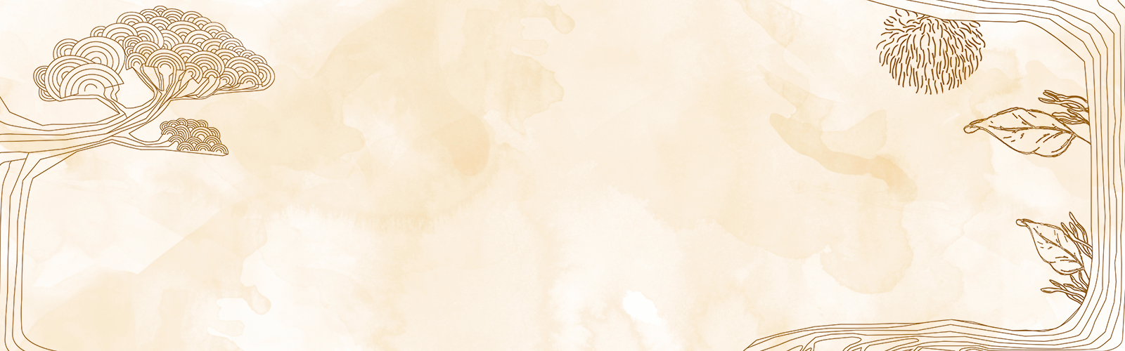 portada de mykora adaptogeno de melena de leon para Potenciar la gilidad mental y concentración