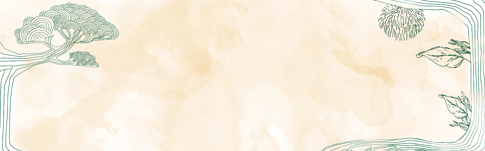 Portada de mykora adaptogeno de reishi para dormir y quitar estres 